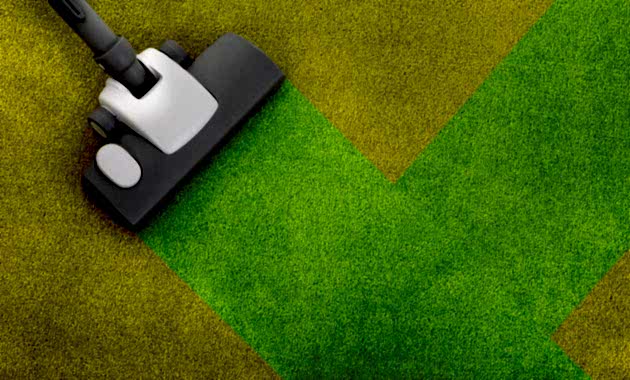 Химчистка ковров